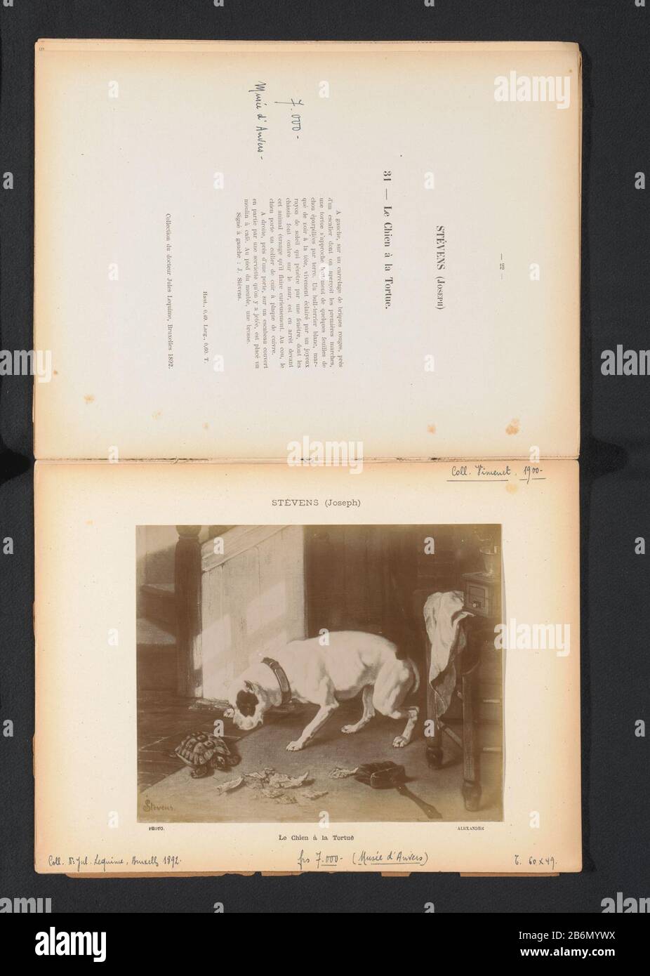 Riproduzione fotografica di un dipinto di un cane con una tartaruga gioca Joseph Stevensle Chien à la Tortue (oggetto del titolo) Tipo Di Proprietà: Pagina di riproduzione fotografica numero articolo: RP-F 2001-7-1710-6 Iscrizioni / marchi: Annotazione, recto, manoscritto: 'Coll. Vimenet, 1900.'annotatie, recto, stampato: 'Coll [.]: Luglio Lequime, Bruxelles 1892.'annotatie, recto manoscritto 'frs. 7.000- (Musée d'Anvers) 'annotazione, recto, scritto a mano:' R. 60 x 49.' Produttore : fotografo: Alexandre (fotografo) (edificio elencato) a dipingere di Joseph Stevens (proprietà elencata) Data: CA. 1895 - o per 1900 Materiale: Carta Foto Stock