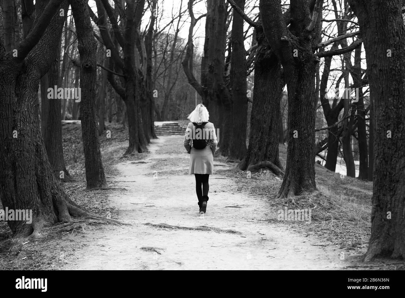 giovane donna a piedi al vecchio autunno parco vista posteriore, monocromatico Foto Stock