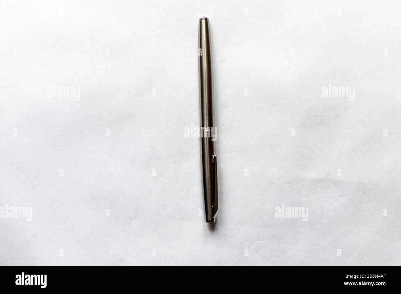 Penna per fontana di inchiostro ricaricata con inchiostro con una penna metallica. Su sfondo bianco . Primo piano. Foto Stock