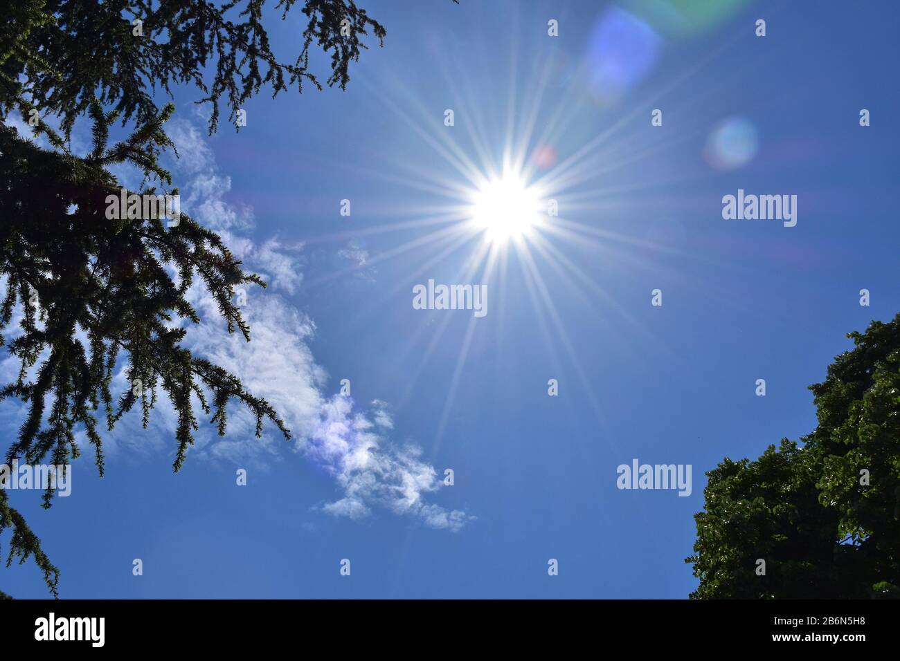 Sole di mezzogiorno con raggi stellati con cielo blu e delicata nuvola sullo sfondo Foto Stock