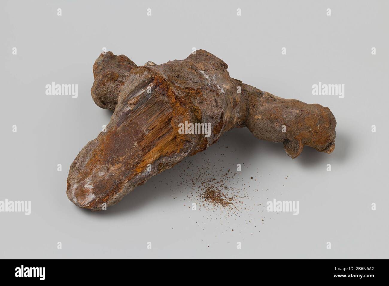 De concretie bevat de afdruk van hout. Concretion.Vervaardiging Appuntamenti: Ca. 1700 - ca. 1735 Materiale: Calcestruzzo dimensioni: G 555 gr × h 16,5 cm. × b 11,5 cm. × d 6,5 cm. Date: 1729 - 1735Wie: Verenigde Oostindische compagnie't Vliegend Hart (schip) Foto Stock