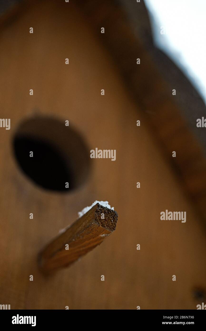 Primo piano estremo del bastone birdhouse. Foto Stock