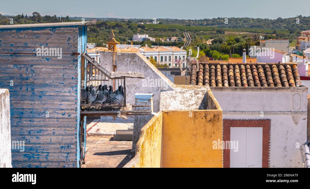 Tradizionale gabbia di piccioni sui tetti della città di Moncarapacho, Portogallo Foto Stock