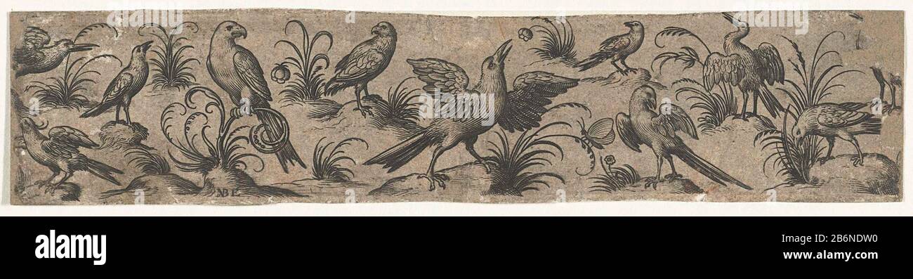 Fries met elf vogels en een insetto Friezen met vogels (seriettel) De vogel met gespreide vleugels in het midden kijkt omhoog. Produttore : produttore : Nicolaes de Bruyn (vermeld op object)naar prent van: Hans Liefrinck (II) (mogelijk)naar ontwerp van: Hans Collaert (i)Plaats fabbricante : Nederlandnaar prent van: Nederlandnaar ontwerp van: Zuidelijke Nederlanden Dating: 1556 Materiale: H 37 mm × b 171 mm Soggetto: Birdsint Foto Stock