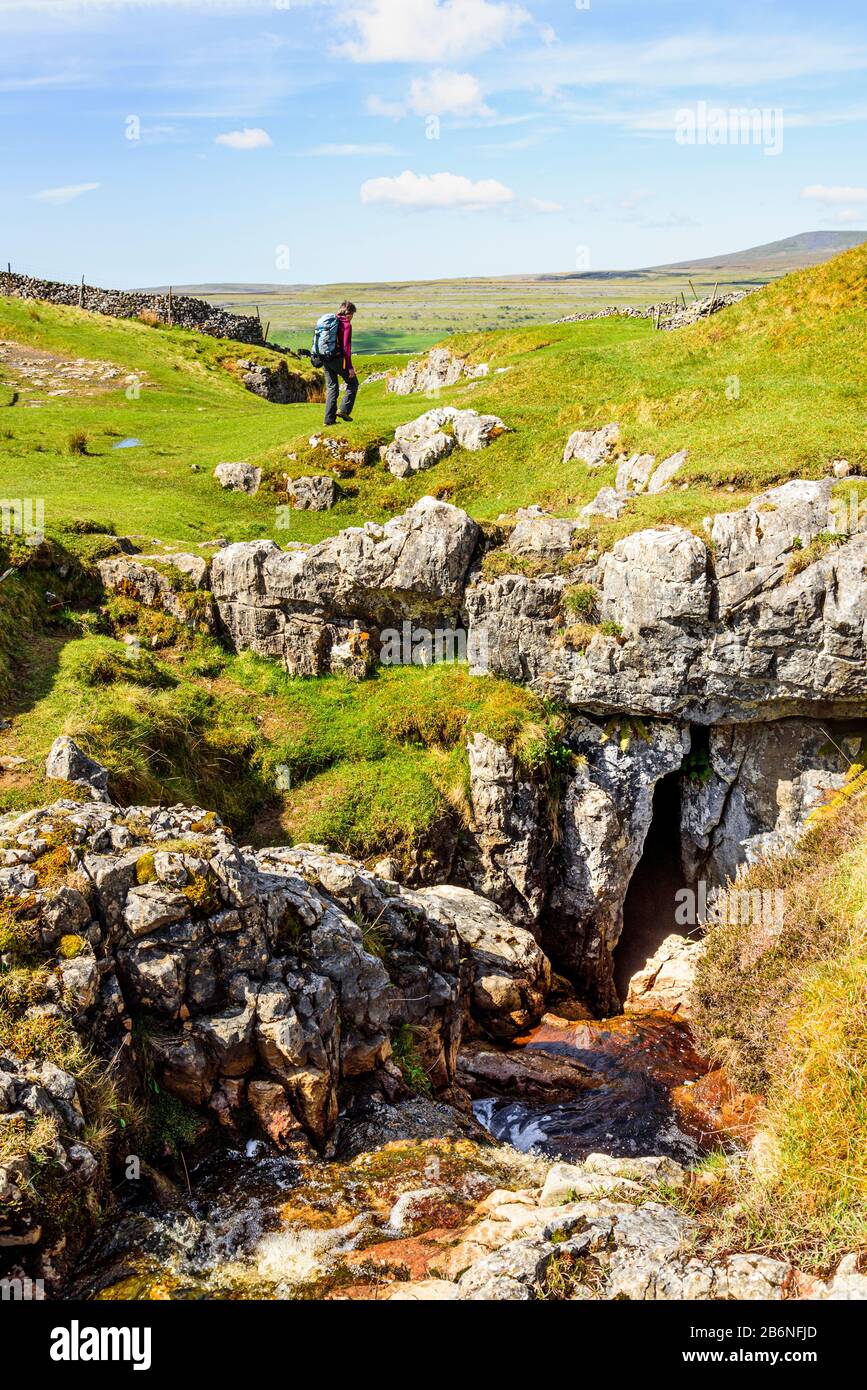 Walker passando Sell Gill Holes sopra Horton-in-Ribblesdale nelle Yorkshire Dales Foto Stock