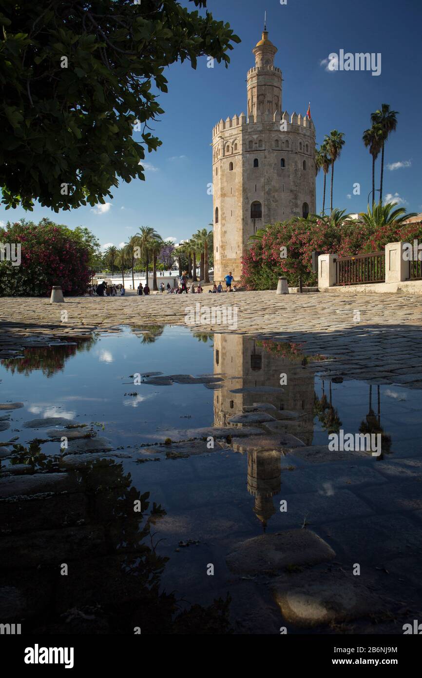 La Torre del Oro e la sua riflessione su un pouddle dal Alcalde Marques del Contadero Walk, Siviglia, Spagna Foto Stock