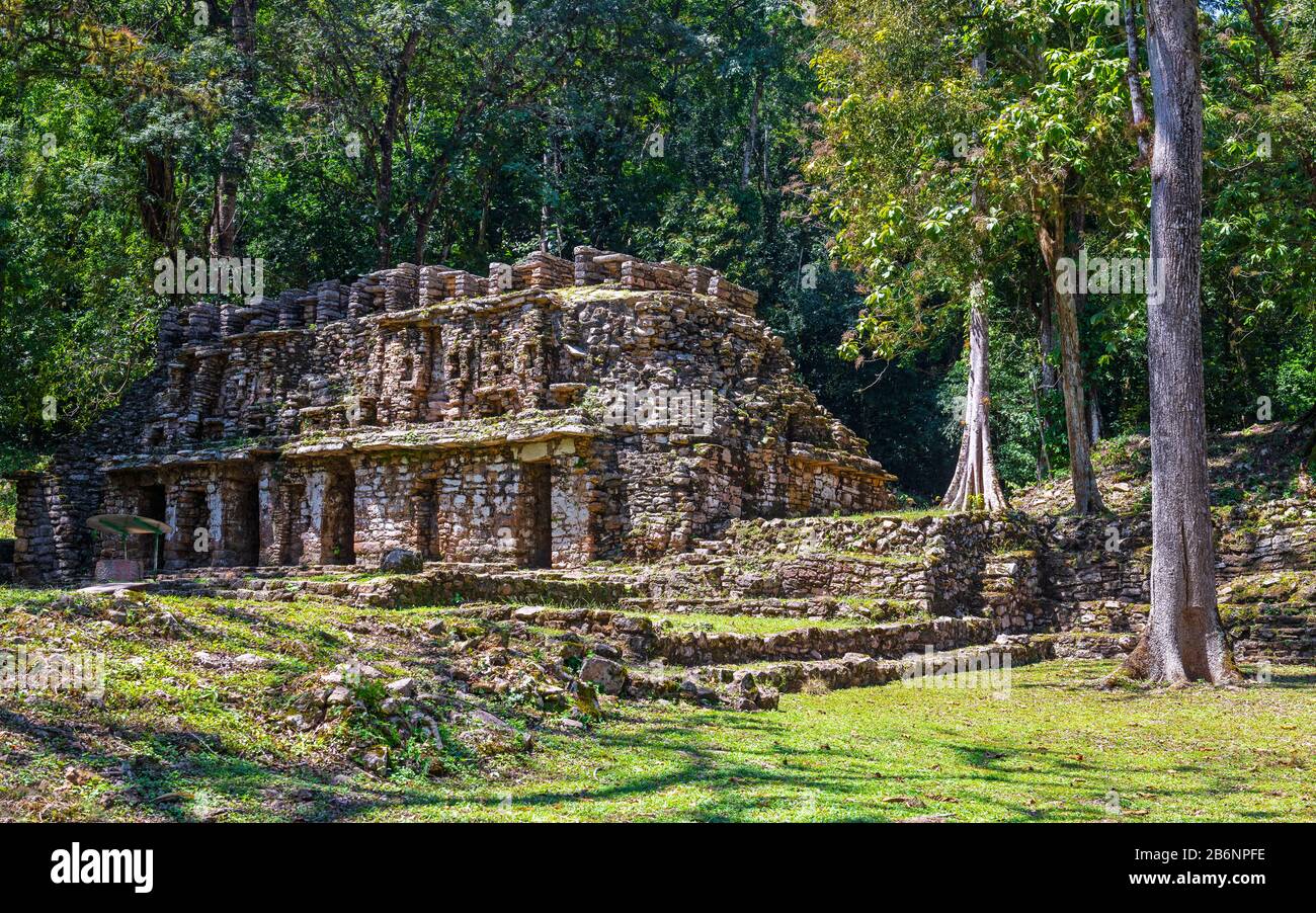 Rovina maya di Yaxchilan con struttura labirintica nella foresta pluviale tropicale, Chiapas, Messico. Foto Stock
