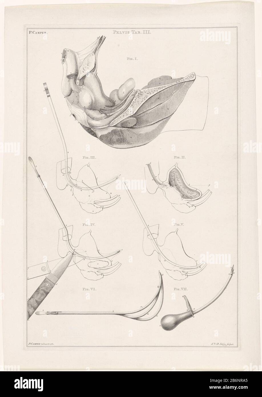 Genummerde anatomie van de pelvi Pelvis Tab III (titel op object) Anatomie van verschillende delen van het menselijk lichaam (serietitel) Anatomia Numerata pelvisPelvis Tab. III. (Oggetto del titolo) Anatomia di parti diverse del corpo umano (titolo della serie) Tipo Di Proprietà: Stampa numero di serie:? / numero articolo: RP-P-1903-A 23538 Iscrizioni / marchi: Marchio del collettore, verso, stampato: Lugt 2228 Produttore : stampatore Jacob van der Schley (indicato sull'oggetto) a disegno di: Petrus Camper (indicato sull'oggetto) Data: 1762 caratteristiche Fisiche: Incisione e engra materiale: Carta Tecnica: Incisione Foto Stock