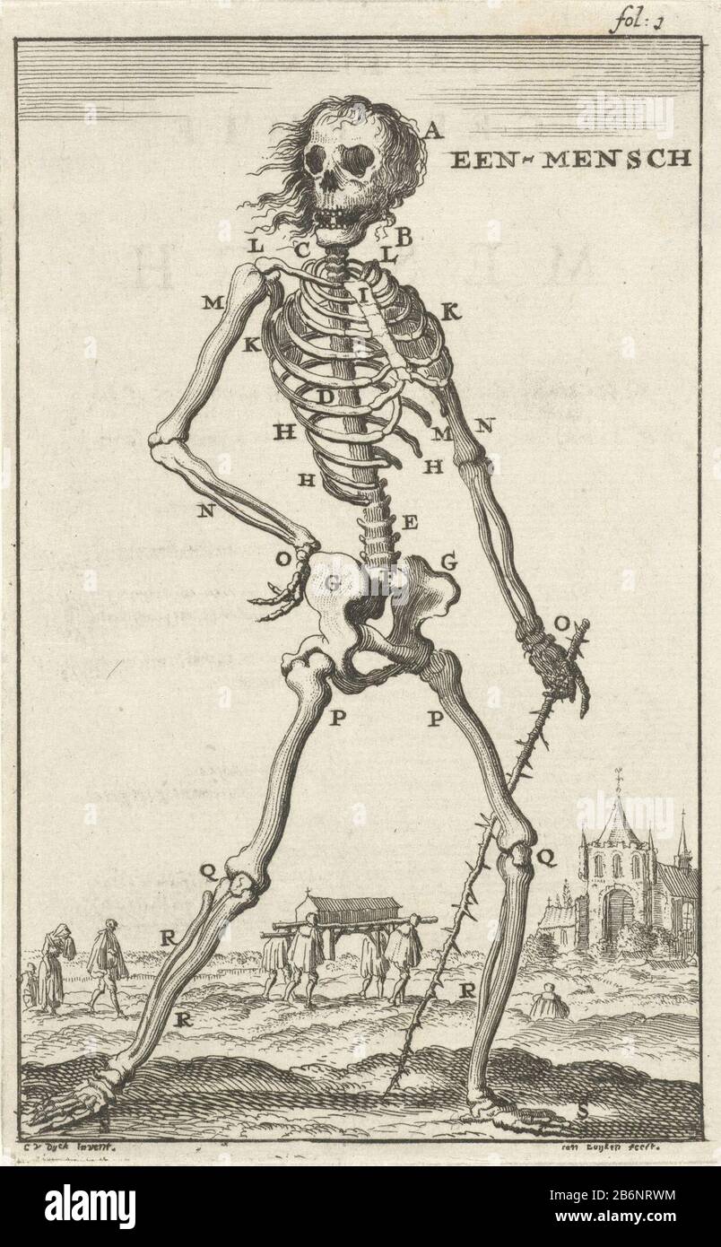 Geraamte van een Mens Een Mensch (titel op object) print right labelled: Fol: 1. Produttore : stampatore Jan Luyken (Proprietà elencata) Designed by Cornelis van Dyk (edificio elencato) editore: Jan Claesz ten Hoor Luogo produzione: Amsterdam Data: 1680 caratteristiche Fisiche: Materiale di incisione: Tecnica di incisione: Dimensioni di incisione : foglio: 139 mm × h b 86 mmToelichtingIllustratie elencato in: Dyk, Cornelis of. Osteologia, o foglio di dati del geraamt accurato degli animali verscheyde, accanto al suo storien. Amsterdam: Jan Claesz A Hoorn, 1680. Oggetto: Scheletro (umano) Foto Stock
