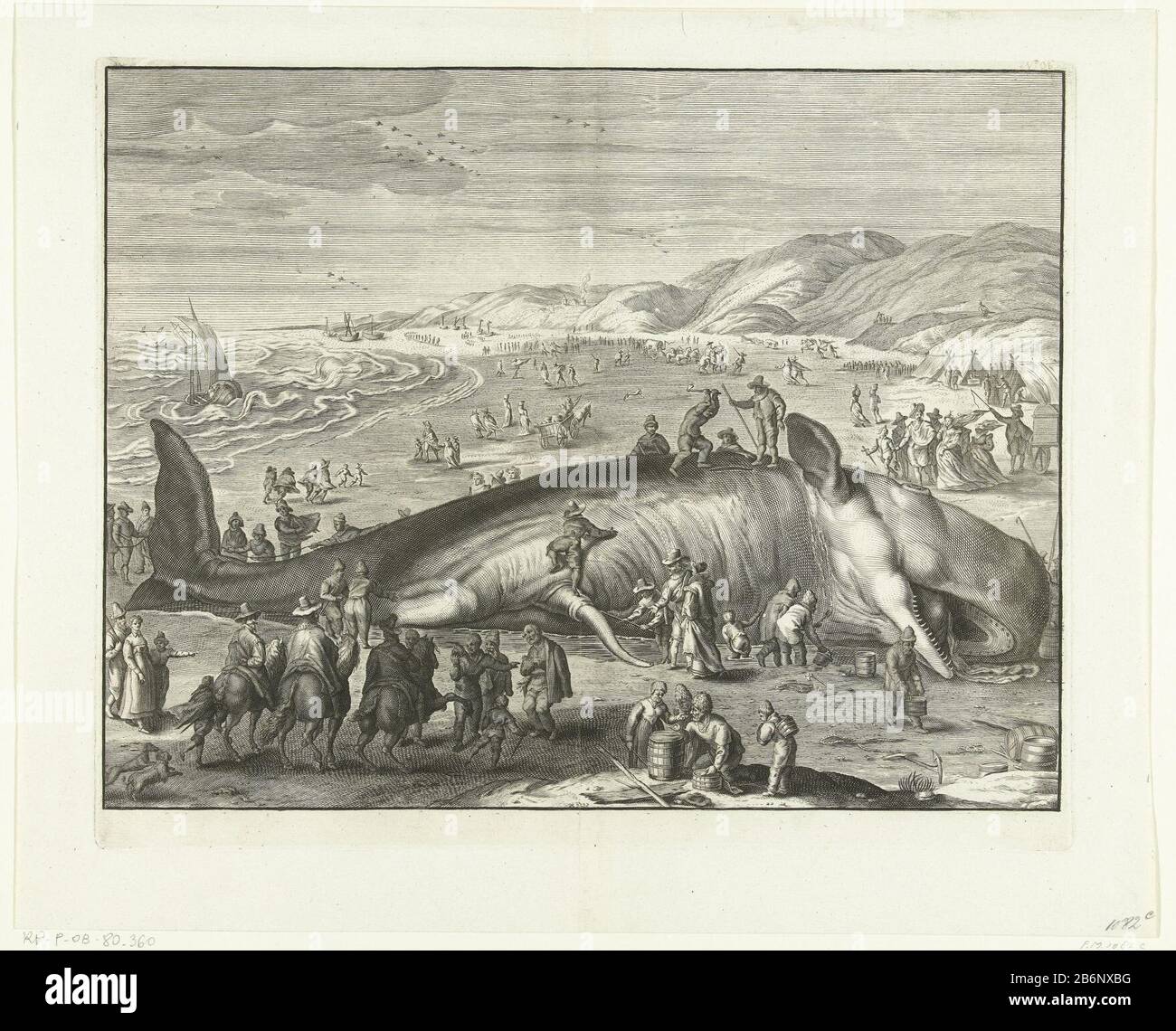 Gestrande walvis bij Berckhey, 1598 Whale (balena) incastrato il 2 febbraio 1598 sulla spiaggia di Berckhey tra Katwijk e Scheveningen. Con molti visitatori sulla spiaggia. In primo piano alcuni piloti, gli animali e le auto sulla spiaggia. Copia all'originale di Jacob Matham. Produttore : stampatore: Gilliam van der Gouwe per stampare da: Jacob Mathamnaar disegno di: Hendrick Goltzius Luogo fabbricazione: Paesi Bassi del Nord Data: 1679 - 1681 e / o 1730 caratteristiche Fisiche: Engra materiale: Carta Tecnica: Engra (processo di stampa) Misure : bordo della lastra: H 274 mm × W 340 mmToelich Foto Stock