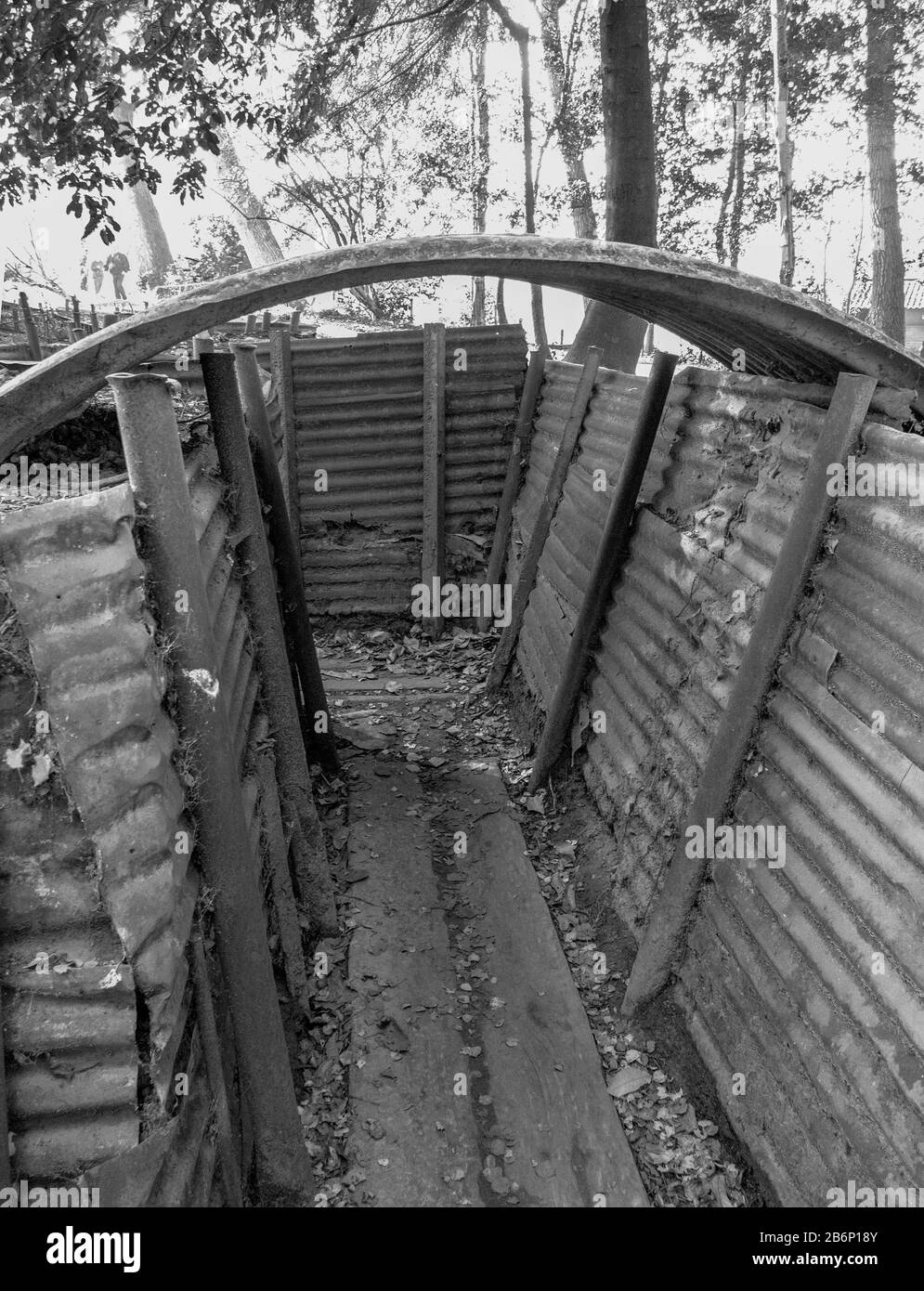 British World War 1 trincee in collina 62 Santuario legno sull'Ypres salienti e campi di battaglia, Belgio. Foto Stock