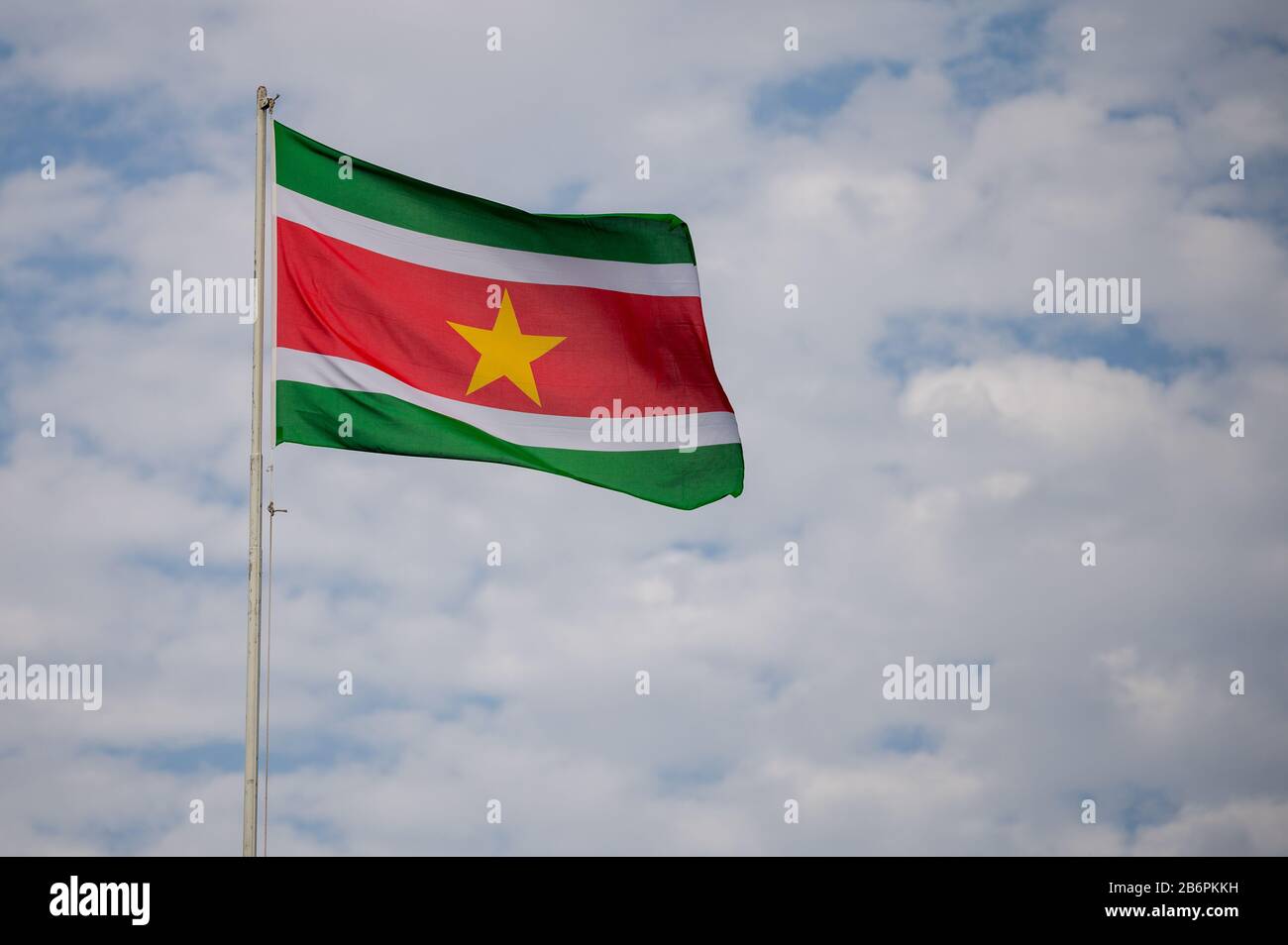 Bandiera nazionale del Suriname che vola al vento Foto Stock