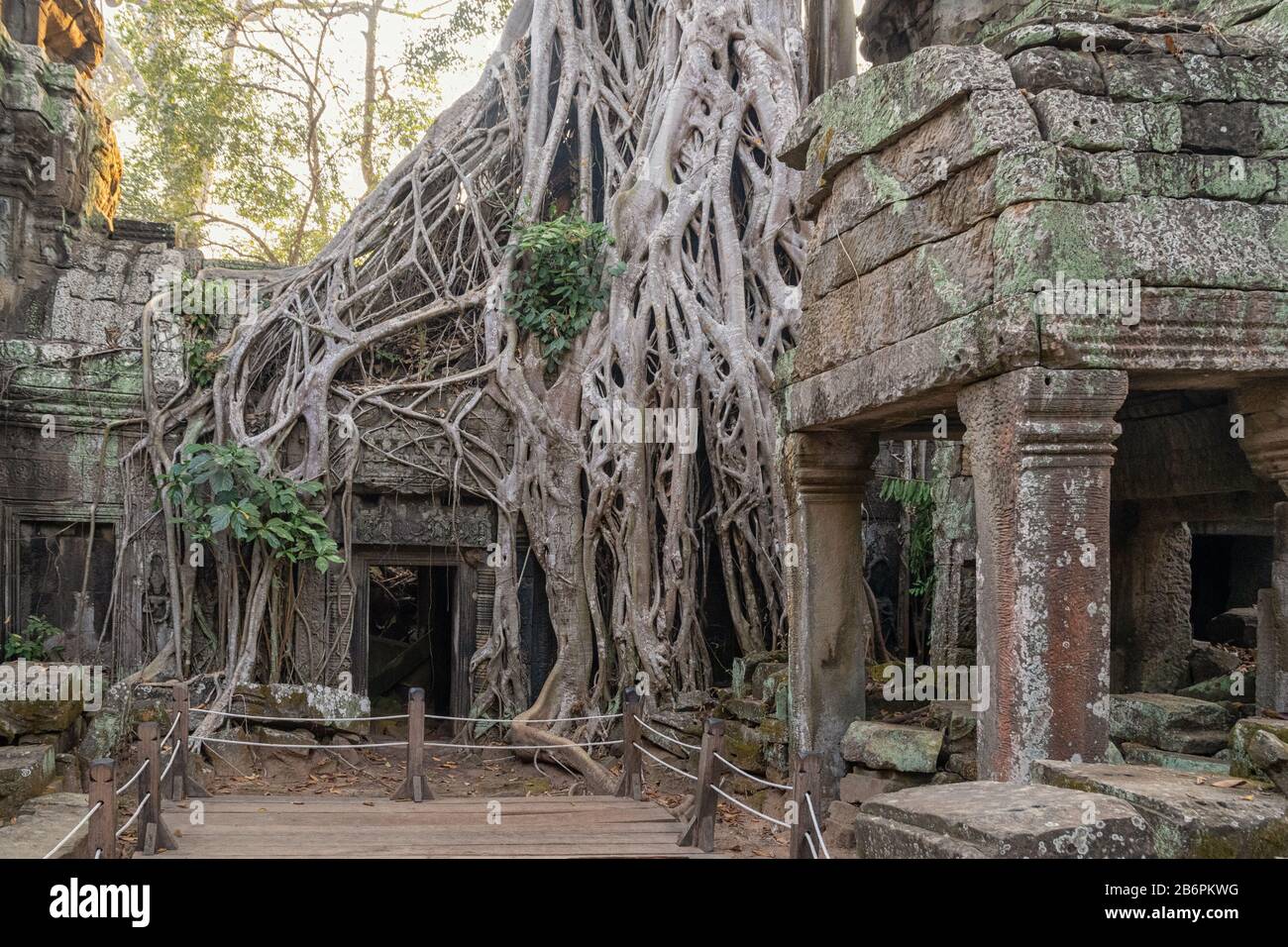 Il Tempio Di Ta Prohm Vicino Ad Angkor Wat In Cambogia Foto Stock