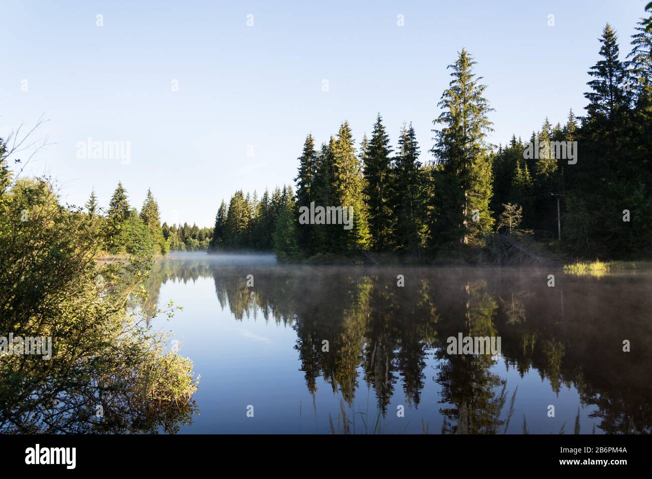 Mattina si torce sulla superficie dello stagno di Pohorsky conosciuto come riserva di Jiricka vicino a Pohorska Ves, Novohradske Mountains, Cesky Krumlov District, cechi Foto Stock