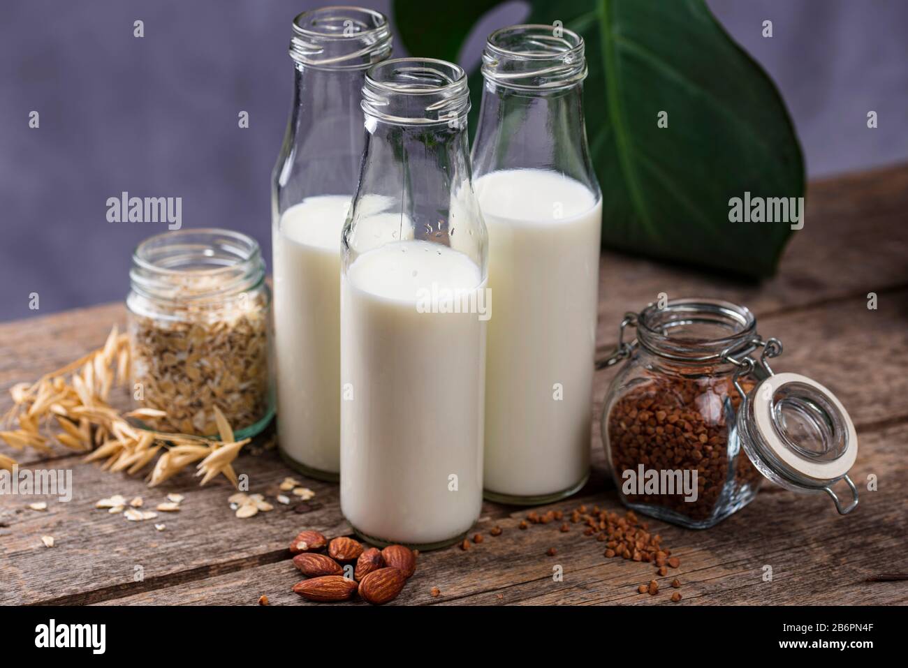 Latte di grano saraceno senza lattosio Foto Stock