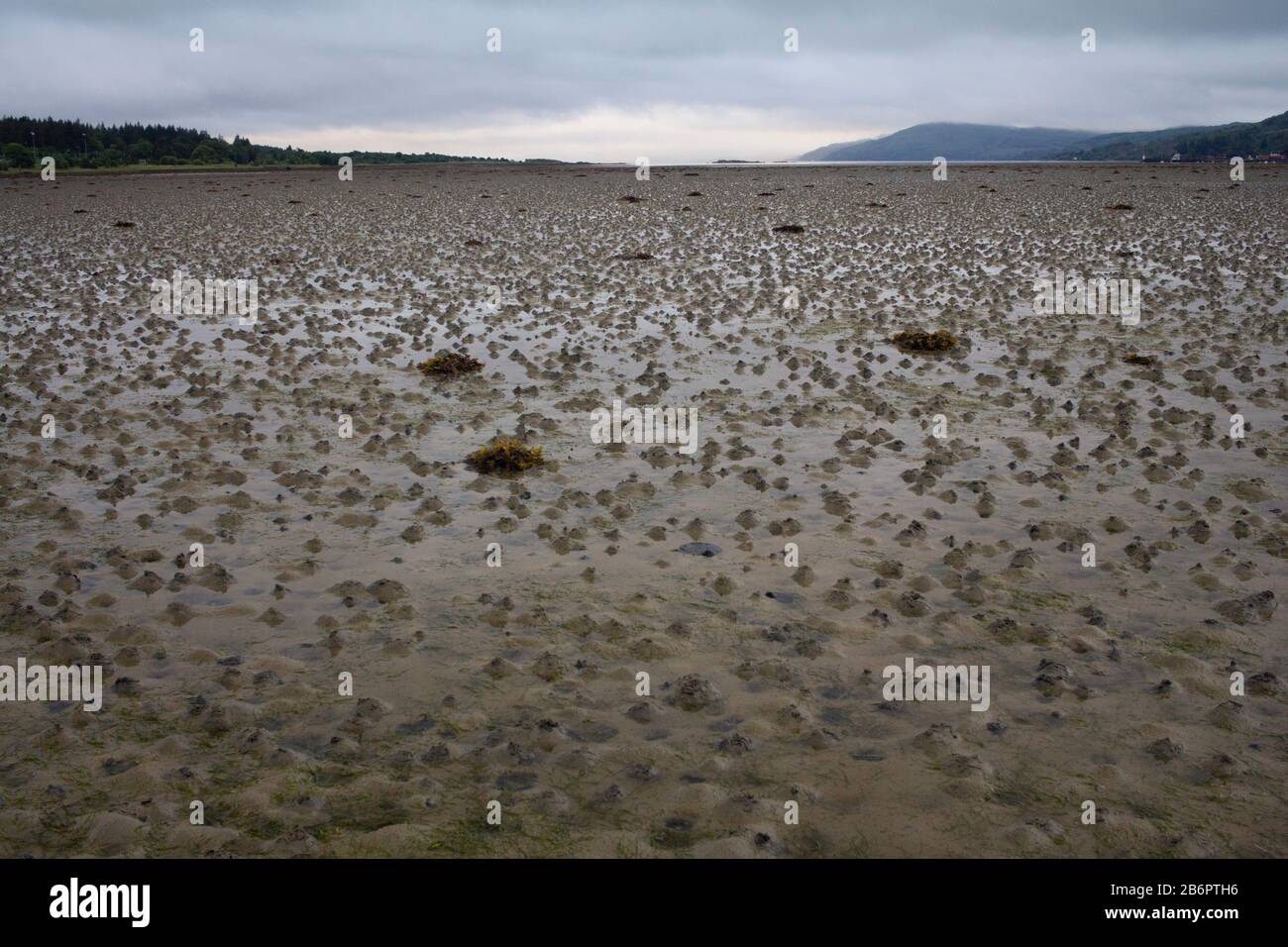 Bassa marea sulla spiaggia di Lochgilphead in una mattinata d'estate bagnata, Loch Fyne, Argyle, Scozia. Foto Stock