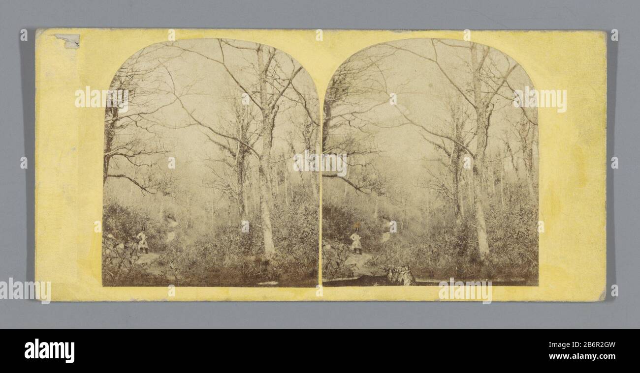 Gezicht op een bos in het Verenigd Koninkrijk Visualizza di una foresta nel Regno Unito Tipo Di Proprietà: Stereo picture numero articolo: RP-F F05113 Produttore : fotografo: Anonimo Place produzione: Regno Unito Incontri: CA. 1850 - ca. 1875 Materiale: Carta di cartone Tecnica: Stampa albume formati: Supporto secondario: H 85 mm × W 170 mm Oggetto: Foresta, approvvigionamento di legno e. Foto Stock