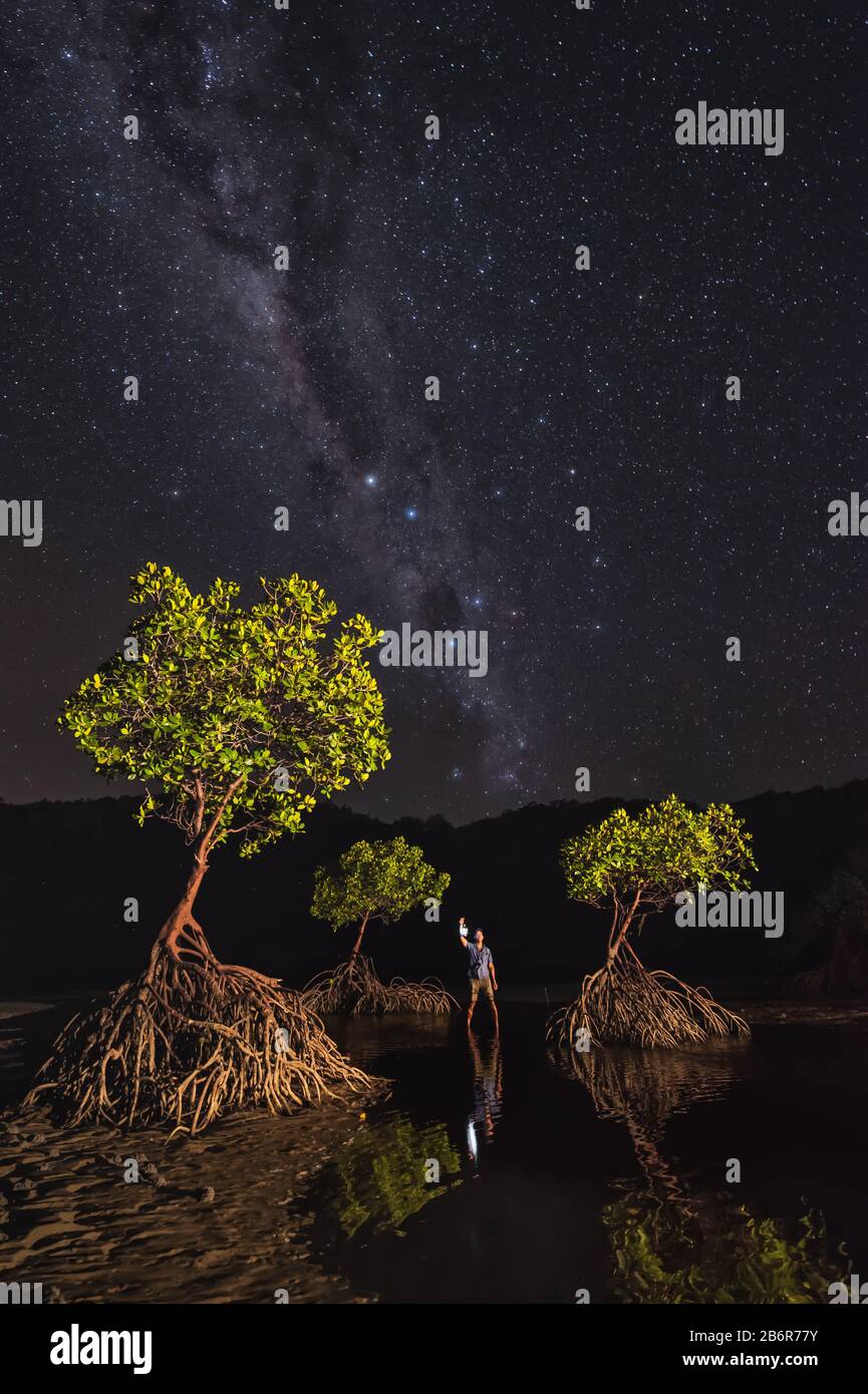 Milky Way fotografia di tre alberi di mangrovie rosse e modello maschile con lanterna sui mudflats a Yule Point nel Queensland del Nord, Australia. Foto Stock