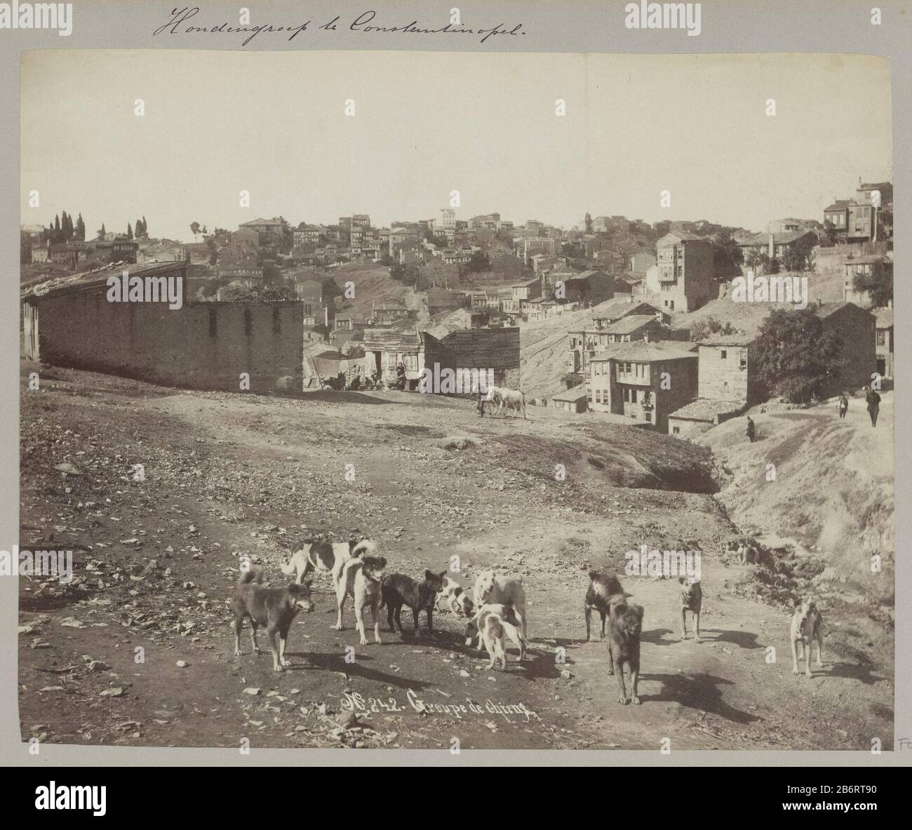 Groep honden bij Istanbul Groupe de chiens (titel op Object) Parte di immagini di un viaggio attraverso il Sud Europa e Medio Oosten. Produttore : fotografo: J. Pascal Sebah & Joaillier (attribuito a) Luogo di produzione: Istanboel dating: 1900 - caratteristiche o Apr 1910 Fisico: Albumen materiale di stampa: Carta Tecnica: Albumen stampa dimensioni: H 217 mm × b 272 mm Oggetto: Cane Foto Stock