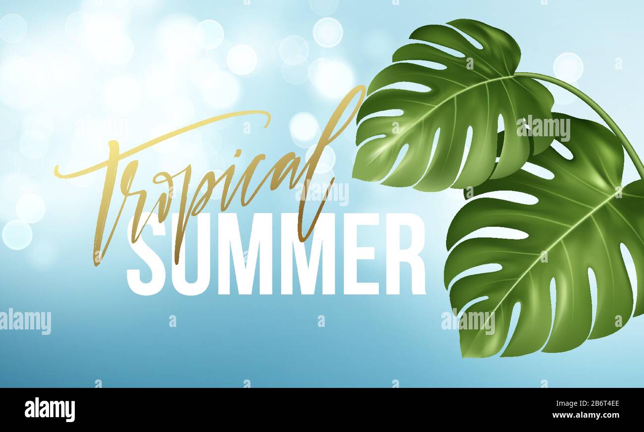 Scritta tropicale estiva sullo sfondo da Realistiche foglie verde brillante di monstera. Illustrazione del vettore Illustrazione Vettoriale