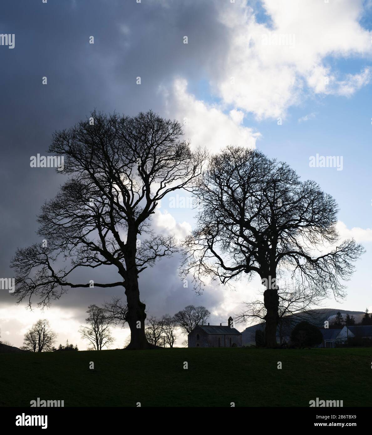 Chiesa di San Niniano e alberi invernali. Lamington, South Lanarkshire, Scottish Borders, Scotland Foto Stock