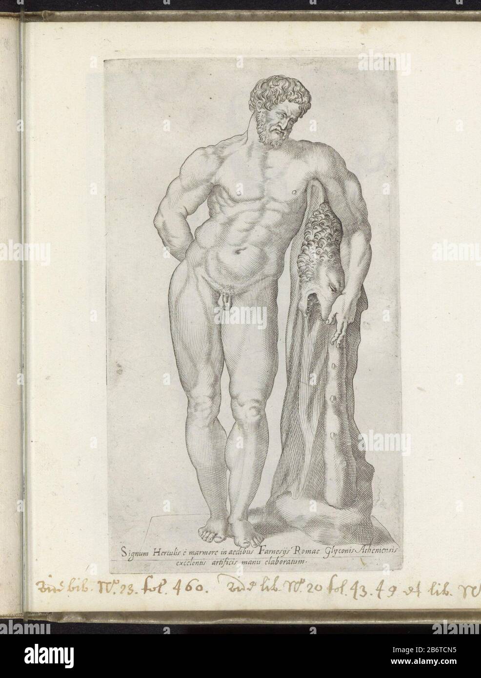 Hercules Farnese Sculpturen uit de oudheid (seriettel) Caption in latino. Print fa parte di un album. Produttore : stampatore: Anonymous location manufacturing: Italy Data: 1600 - 1699 caratteristiche Fisiche: Acquaforte e engra materiale: Carta Tecnica: Acquaforte / engra (processo di stampa) Misure: Bordo della lastra: H 227 mm × W 130 mmStampa ToelichtingDeze fa parte di una serie di almeno 50 stampe di sculture dell'oudheid. Oggetto: Scultura, riproduzione di un pezzo di scultura (la storia) Ercole (Ercole) Foto Stock