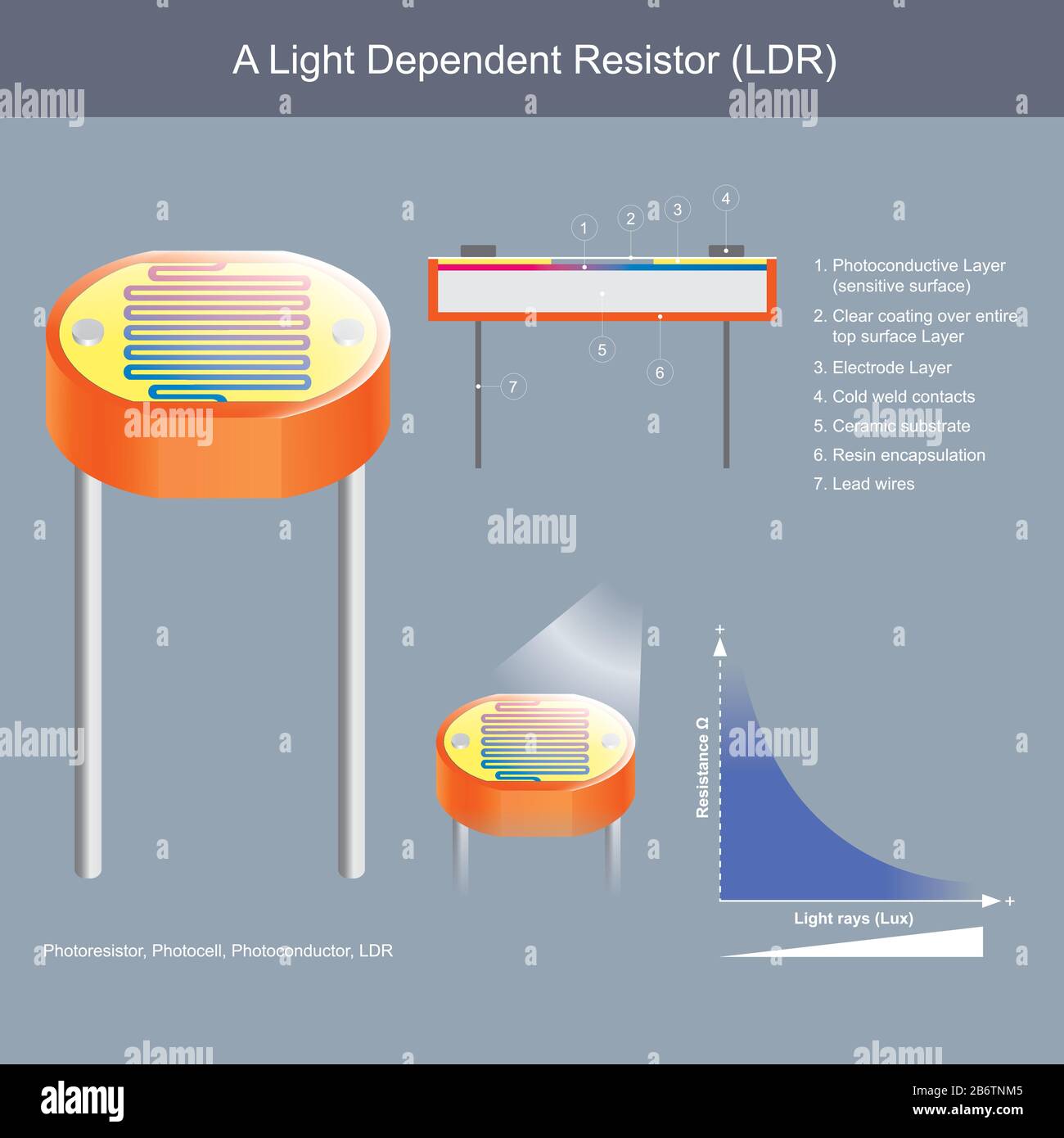 Un Resistore Dipendente Dalla Luce. Mostrare l'interno costruttivo del fotoconduttore e il campione Del principio Di Funzionamento per l'uso spiegare l'elettronica e l'elettricità w Illustrazione Vettoriale