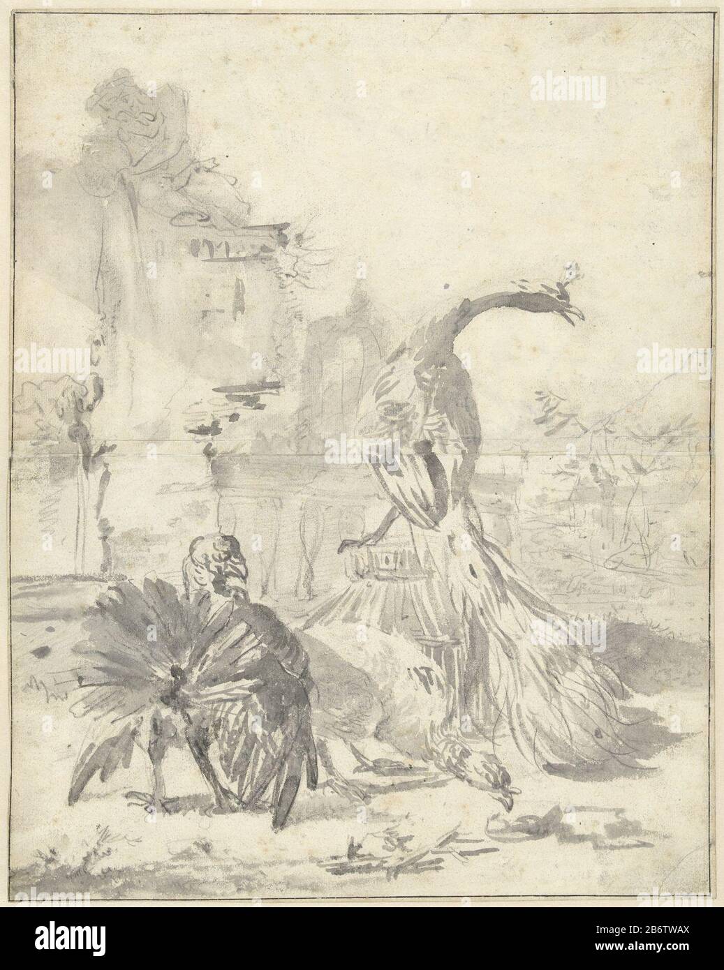 Hoenderhof met een pauw en twee kalkoenen Poultry Yard con un pavone e due chiavi tipo di oggetto: Disegno numero Oggetto: RP-T-1966-21 (R) fabbricazione Creatore: Artista: Jan Weenix Dating 1650 - 1719 caratteristiche Fisiche: Pennello in grigio, gesso nero materiale: Carta gesso tecnologia : dimensioni spazzola: H 377 mm (due a fogli di carta assemblati) × b 300 mm Oggetto: Uccelli Walker e runner: Uccelli turkeyornamentale: Pavone Foto Stock