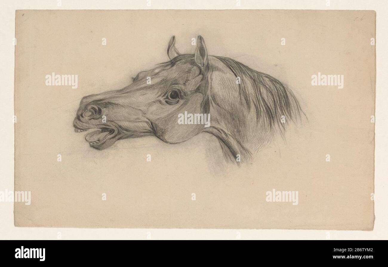 Hoofd van een paard, naar Links testa di cavallo, a sinistra tipo di oggetto: Disegno numero Oggetto: RP-T 1988-67 Produttore : artista: John Davenraat Appuntamenti: 1819 - 1881 caratteristiche Fisiche: Gesso nero materiale: Gesso carta dimensioni: H 210 mm × W 345 mm Soggetto : cavallo Foto Stock