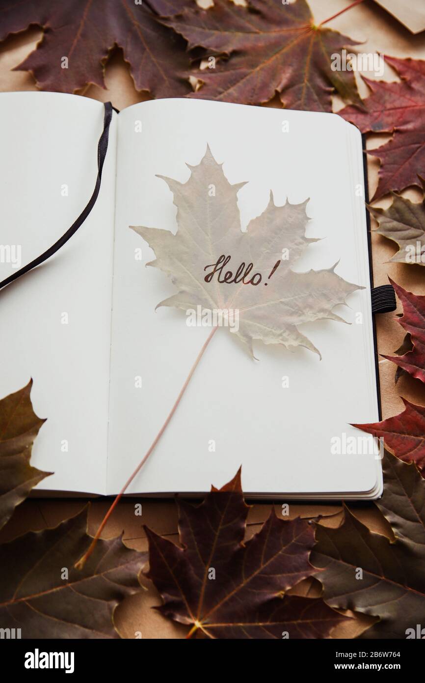 La parola ciao in blocco note e foglia di acero. Ciao concetto autunno Foto Stock