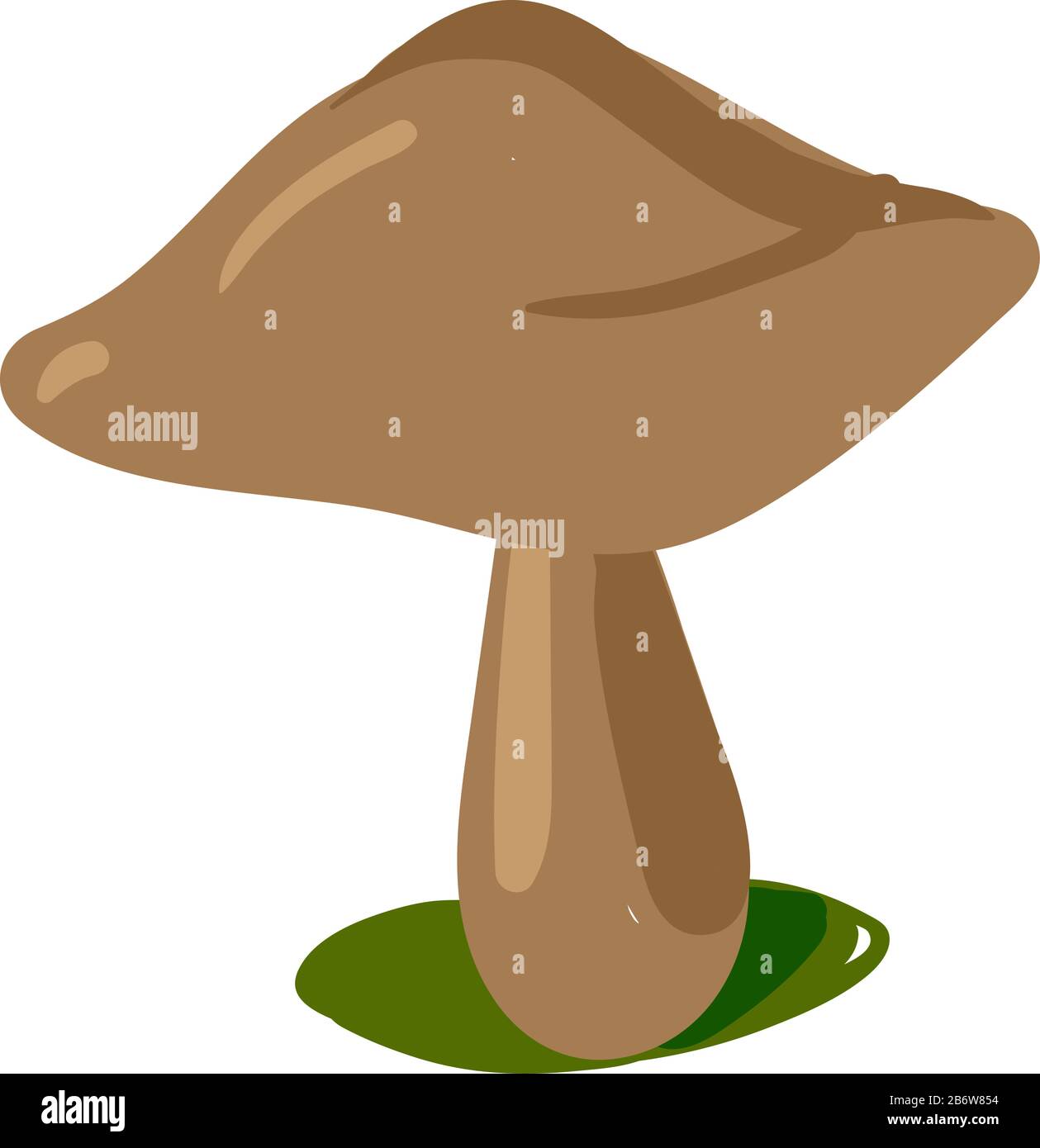 Fungo marrone, illustrazione vettore su sfondo bianco. Illustrazione Vettoriale
