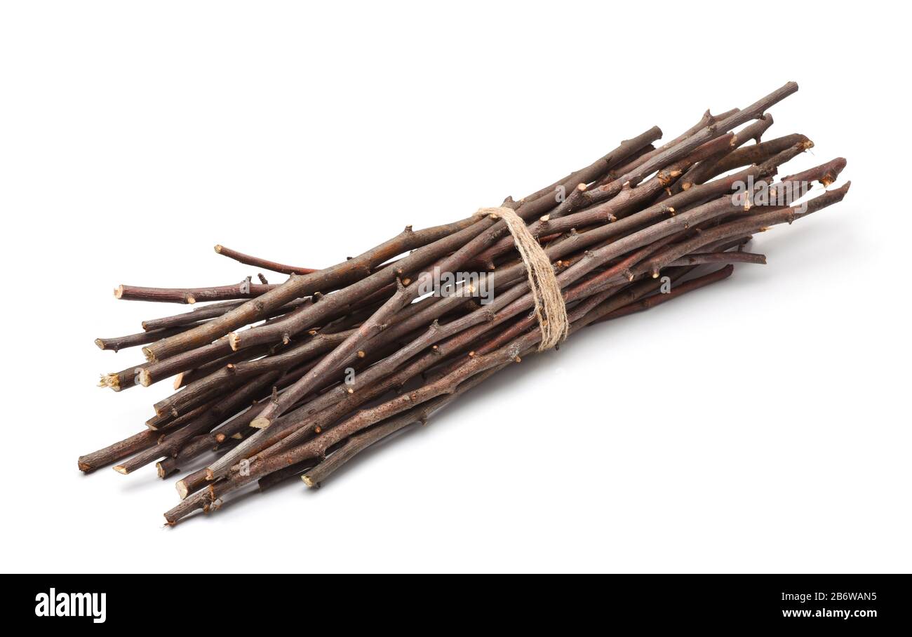 Mazzo di ramoscelli secchi isolato su bianco Foto Stock