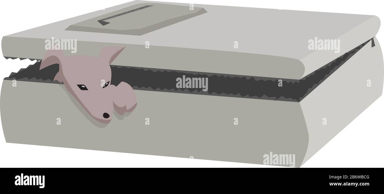 Cane in valigia, illustrazione, vettore su sfondo bianco. Illustrazione Vettoriale