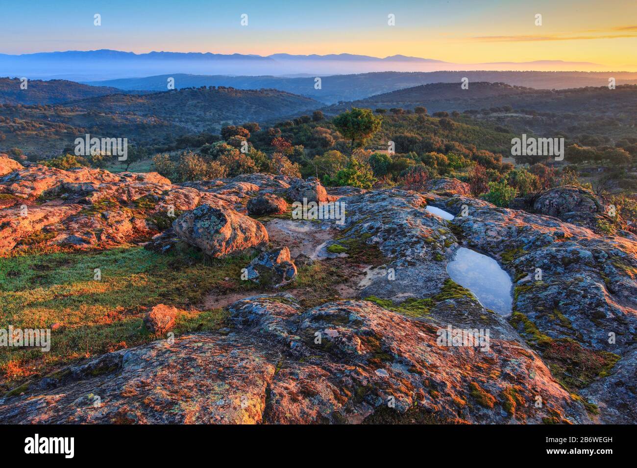 Tipico paesaggio della Sierra de Andujar National Park, Provincia di Jaen, Andalusia, qui vive il raro lince iberica Foto Stock