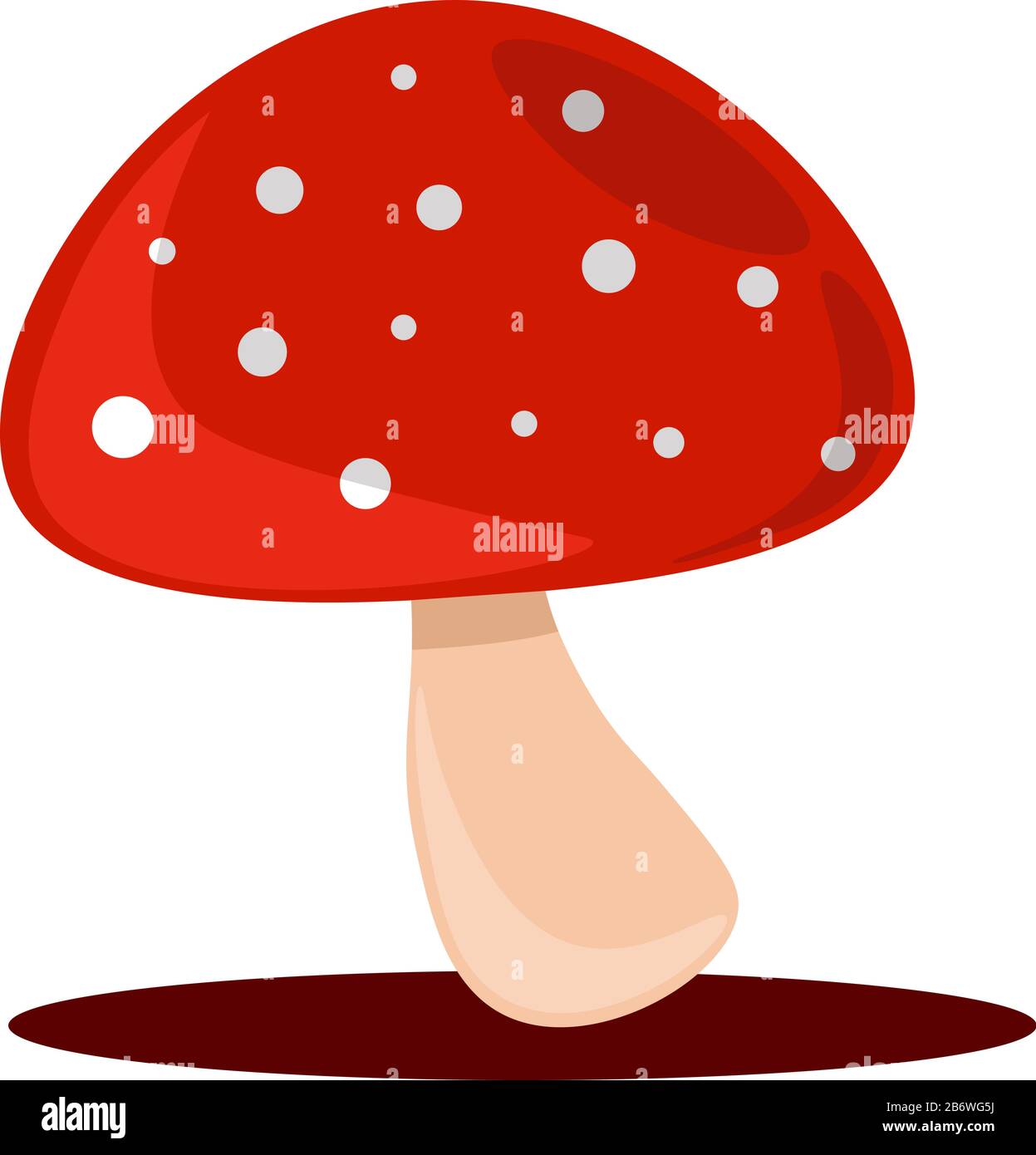 Fungo della foresta, illustrazione vettore su sfondo bianco. Illustrazione Vettoriale