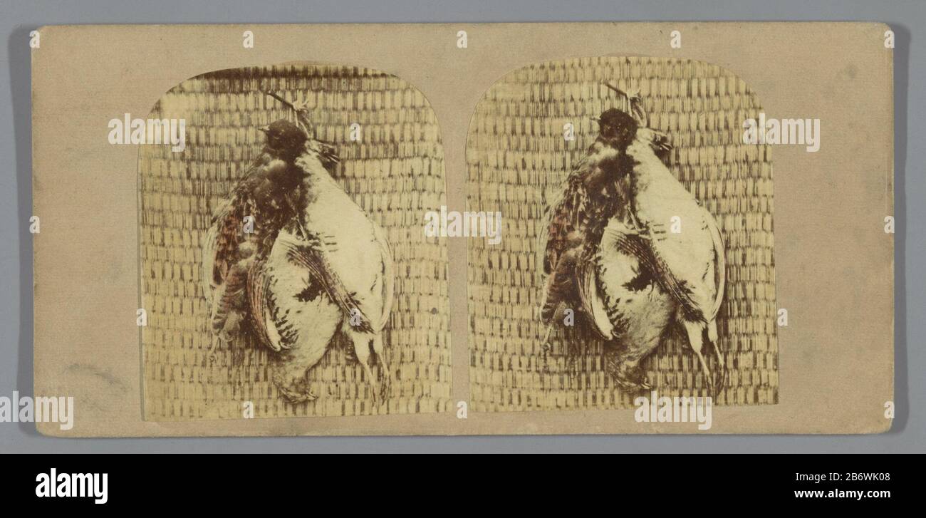 Jachttrofee met gevogelte Group of Game (titel op Object) Caccia Trofeo con gruppo di pollame o gioco (title object) Property Type: Stereo picture Item number: RP-F F10375 Manufacturer : Photographer: Anonymous Date: CA. 1855 - ca. 1870 caratteristiche Fisiche: Albumen colorato a mano materiale di stampa: Cartone Engineering : albumina misure di pressione / mano-colore: Supporto secondario: H 84 mm × W 175 mm Oggetto: Caccia agli uccelli (+ requisiti, necessari (sport  animali)), vite di vari oggetti Foto Stock