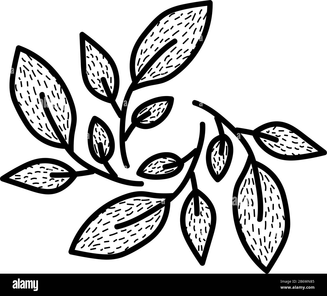 Foglie decorative, illustrazione, vettore su sfondo bianco. Illustrazione Vettoriale