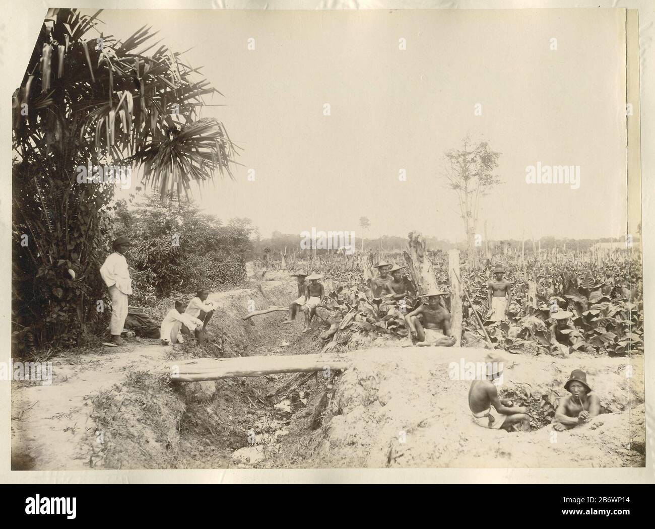 Javaanse en Chinese contrarbeiders aan de rand van een tabaksveld, vermoedelijk in Langkat, Sumatra Deze foto maakt deel uit van een album. Produttore : fotograaf: AnoniemPlats prodotto: Sumatra (mogelijk) datazione: 1890 - 1900 Materiale: Fotopapier karton Techniek: Albuminedruk dimensioni: Foto: H 272 mm × b 372 mm Oggetto: Plantationworking class, laborerstobacco Foto Stock