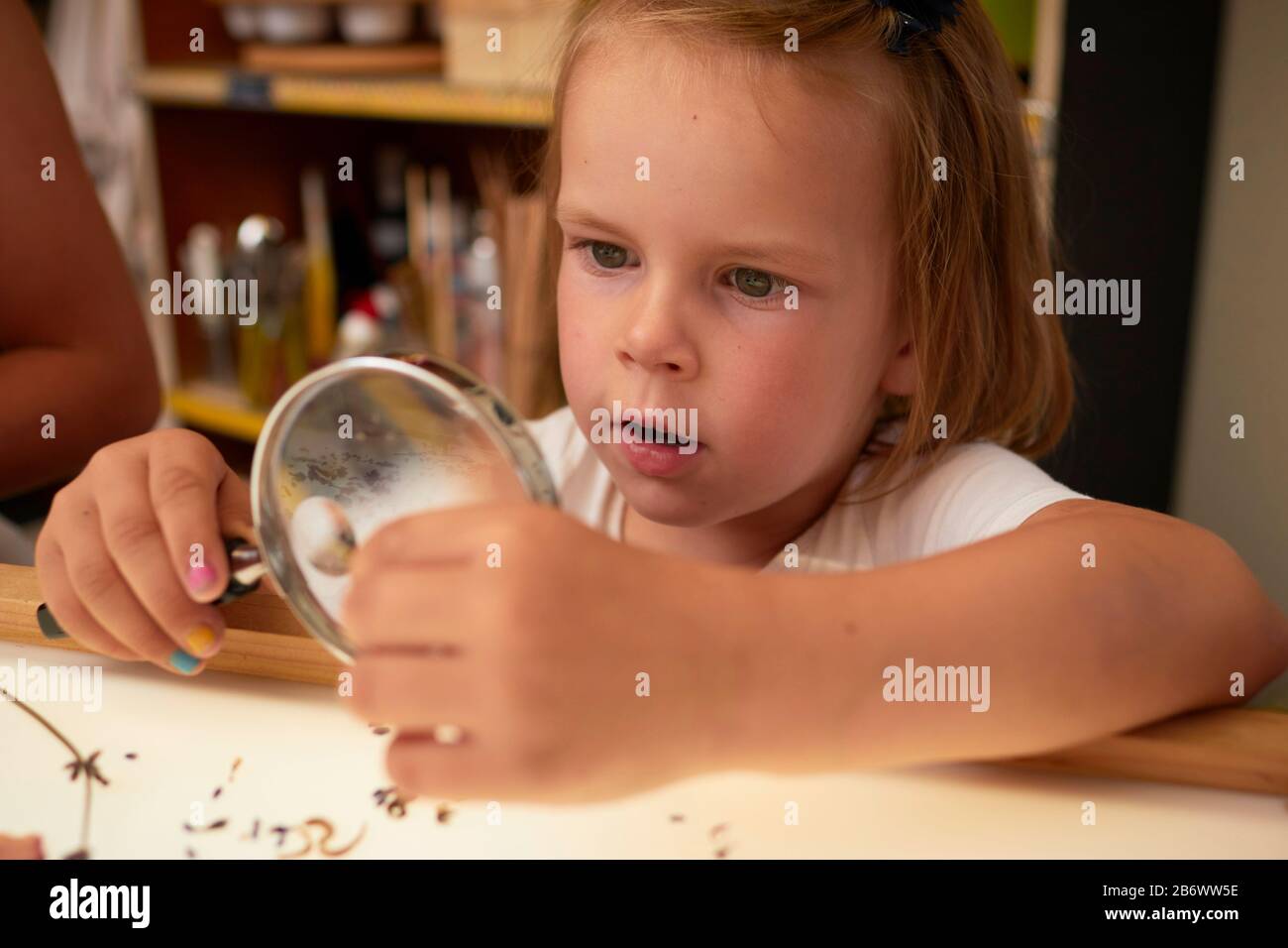 Bambini che indagano cibo. Una ragazza guarda attraverso una lente di ingrandimento a fiori secchi. Imparare secondo il principio della Pedagogia di Reggio, comprensione e scoperta giocose. Germania. Foto Stock