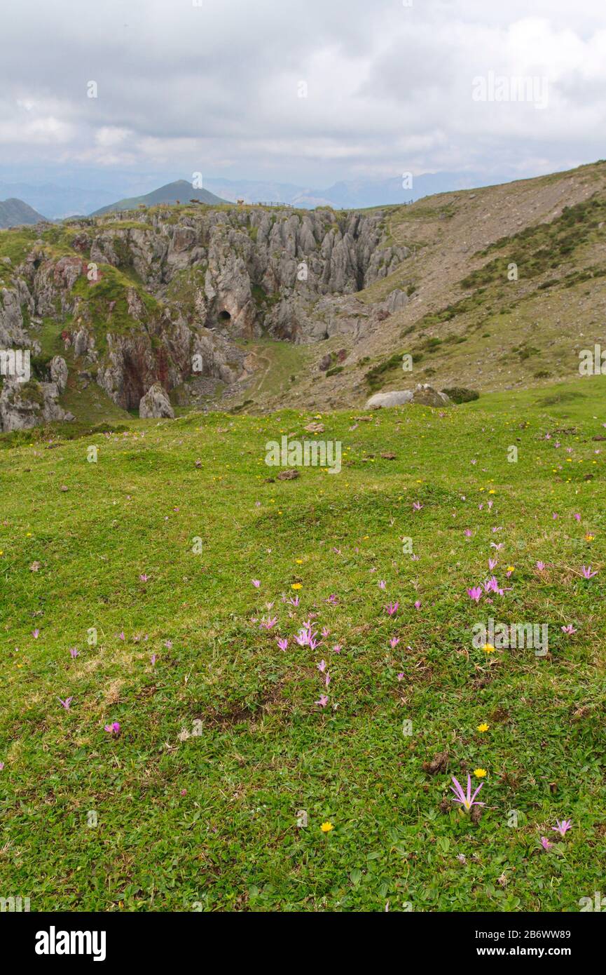 Cangas De Onis, Asturias/Spagna; 05 Agosto 2015. Laghi di Covadonga nel Parco Nazionale Picos de Europa. Persone che camminano sui diversi percorsi disponibili Foto Stock