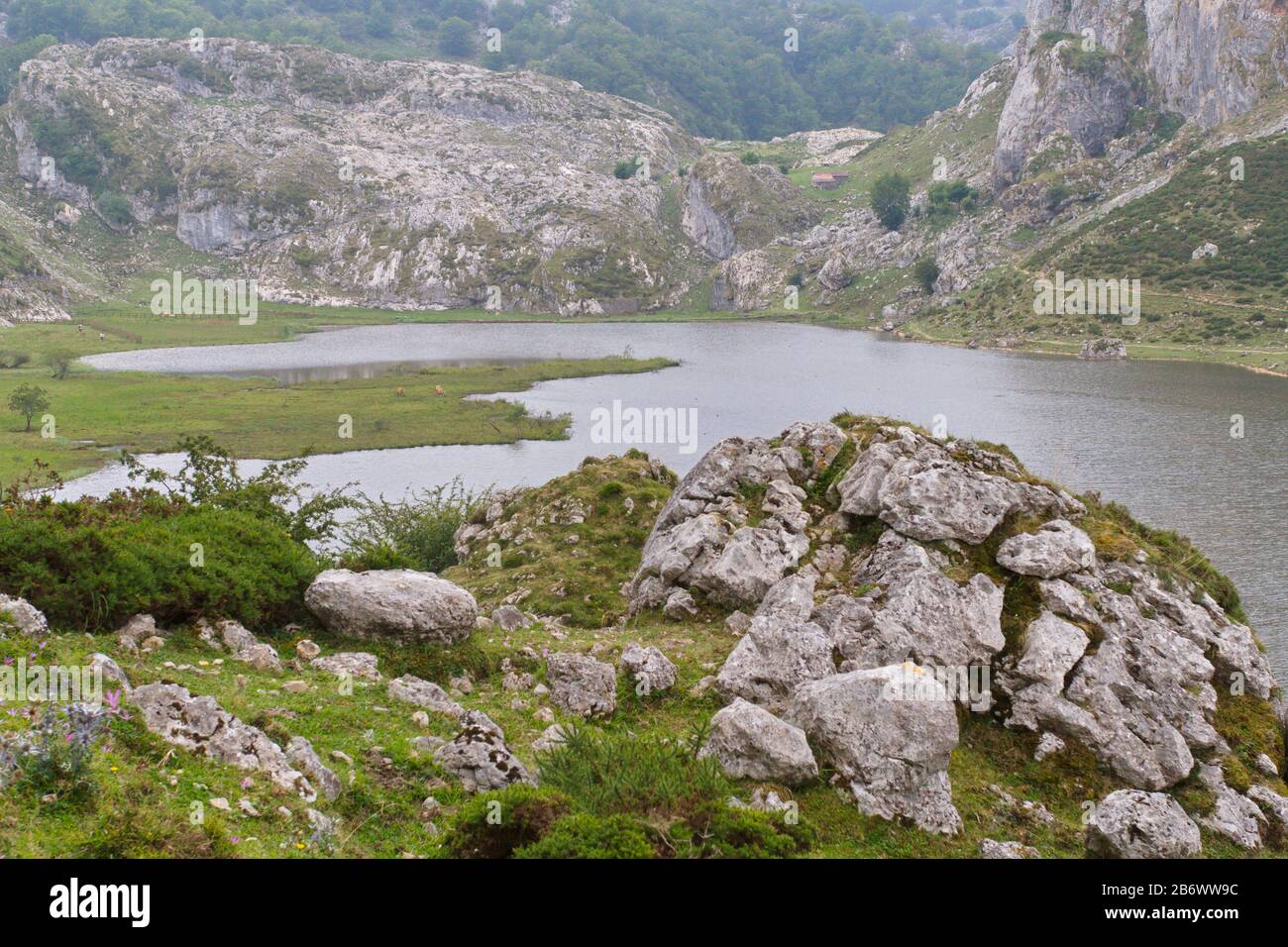 Cangas De Onis, Asturias/Spagna; 05 Agosto 2015. Laghi di Covadonga nel Parco Nazionale Picos de Europa. Persone che camminano sui diversi percorsi disponibili Foto Stock