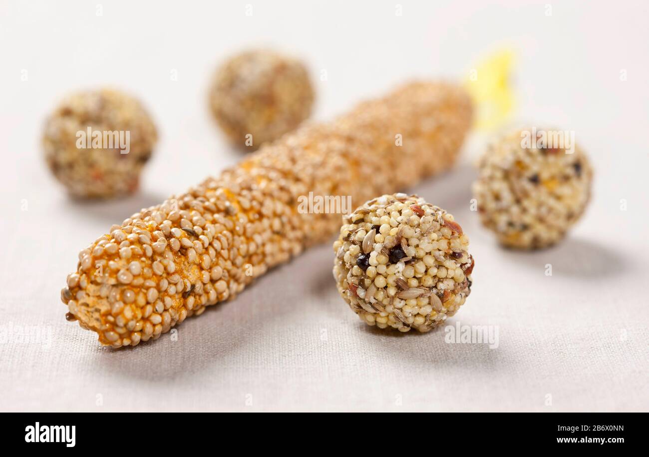 Budgerigar, Budgie (Melopsittacus undulatus). Bastoni di seme e palle come cibo. Germania Foto Stock