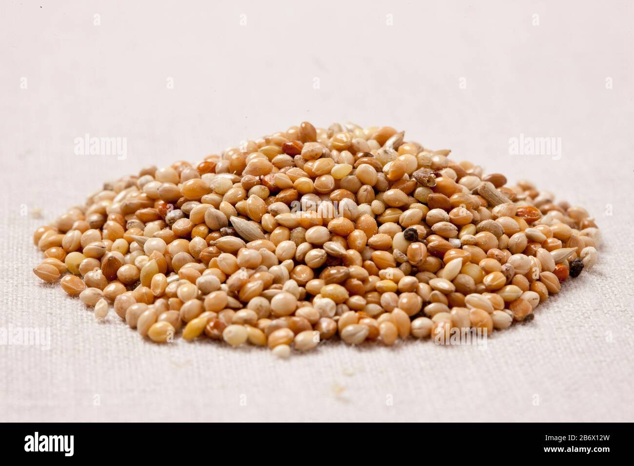 Miscela di semi e grani per preventivati. Germania Foto Stock