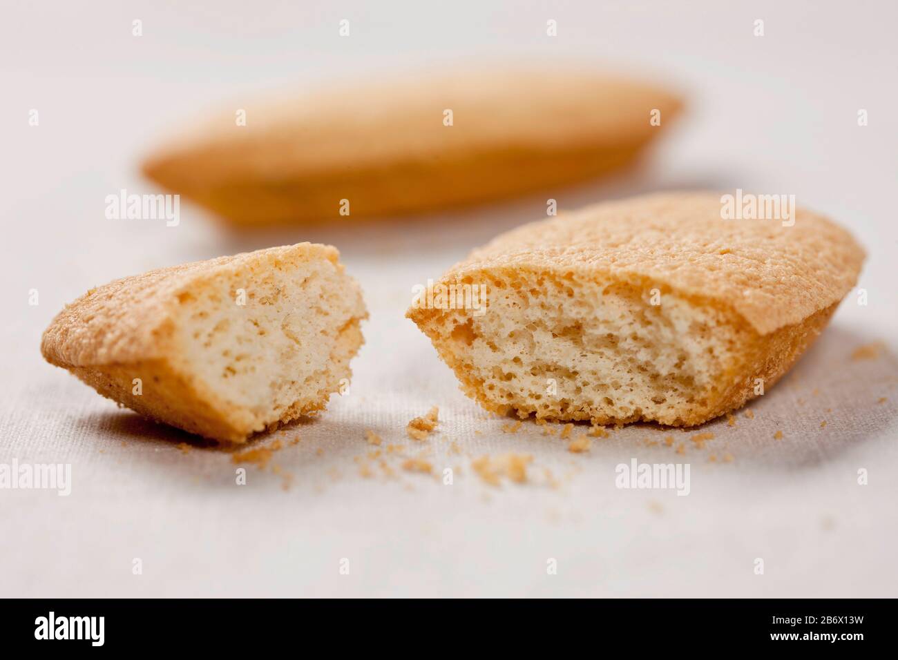 Budgerigar, Budgie (Melopsittacus undulatus). Biscotti per i preventivati. Germania Foto Stock