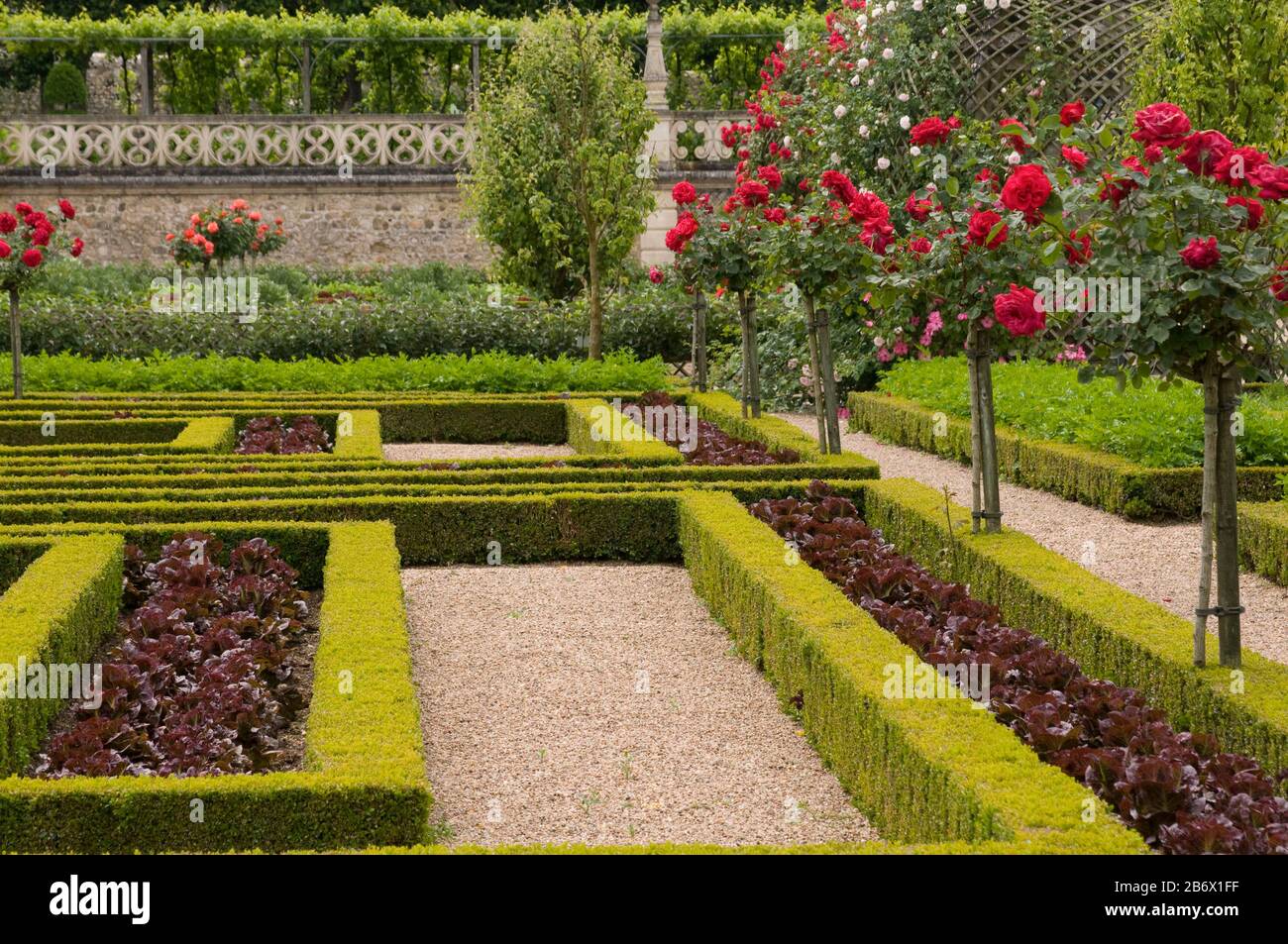 Lo Chateau de Villandry è una grande casa di campagna nella regione della Loira, famosa per il suo favoloso giardino. Foto Stock