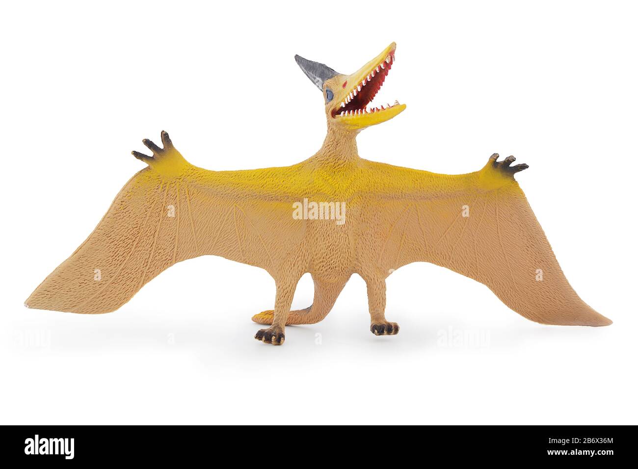 Pteranodon giocattolo, volante rettile. Isolato su sfondo bianco con ombra naturale. Lucertola volante preistorica. Foto Stock