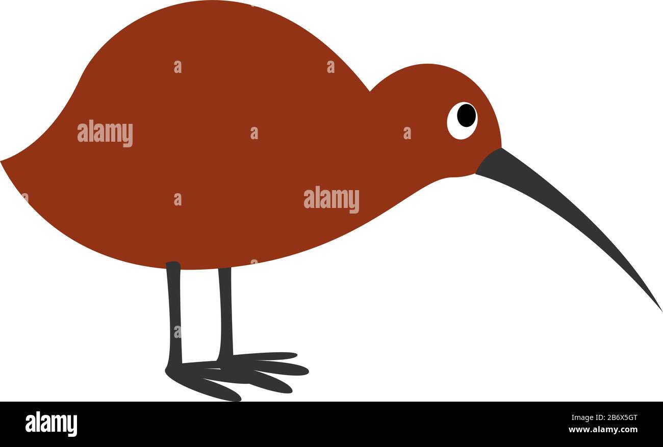 Uccello Kiwi, illustrazione vettore su sfondo bianco. Illustrazione Vettoriale