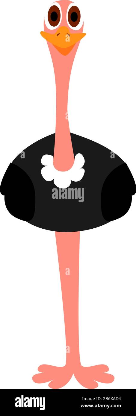 Struzzo sorridente, illustrazione, vettore su sfondo bianco. Illustrazione Vettoriale