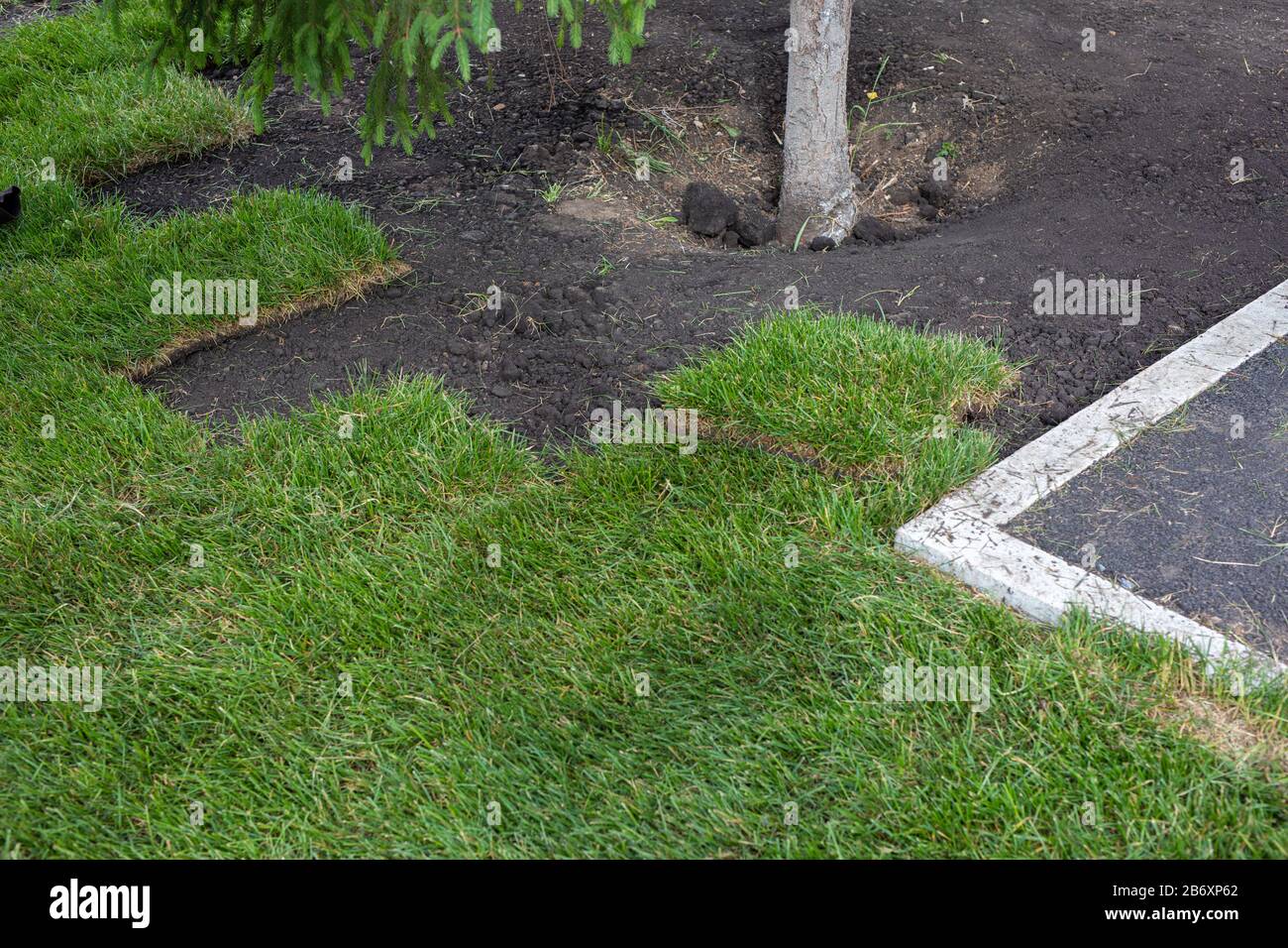 Rollrasen, posa di nuovo prato erboso per il paesaggio. Foto Stock