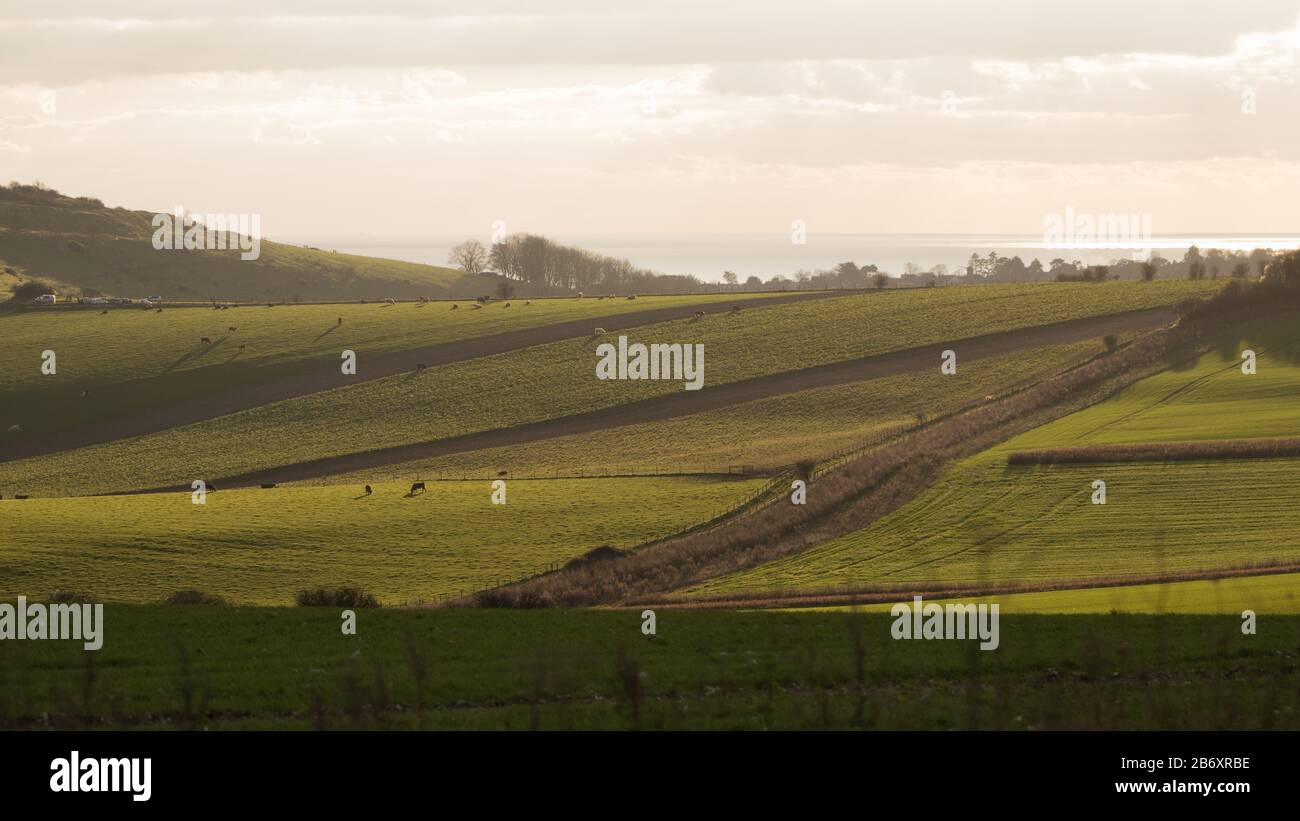 Vista da South Downs vicino al Cissbury Ring. Sussex, Regno Unito. Foto Stock